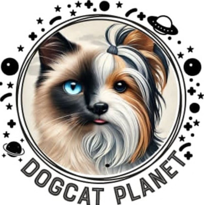 Partner logó